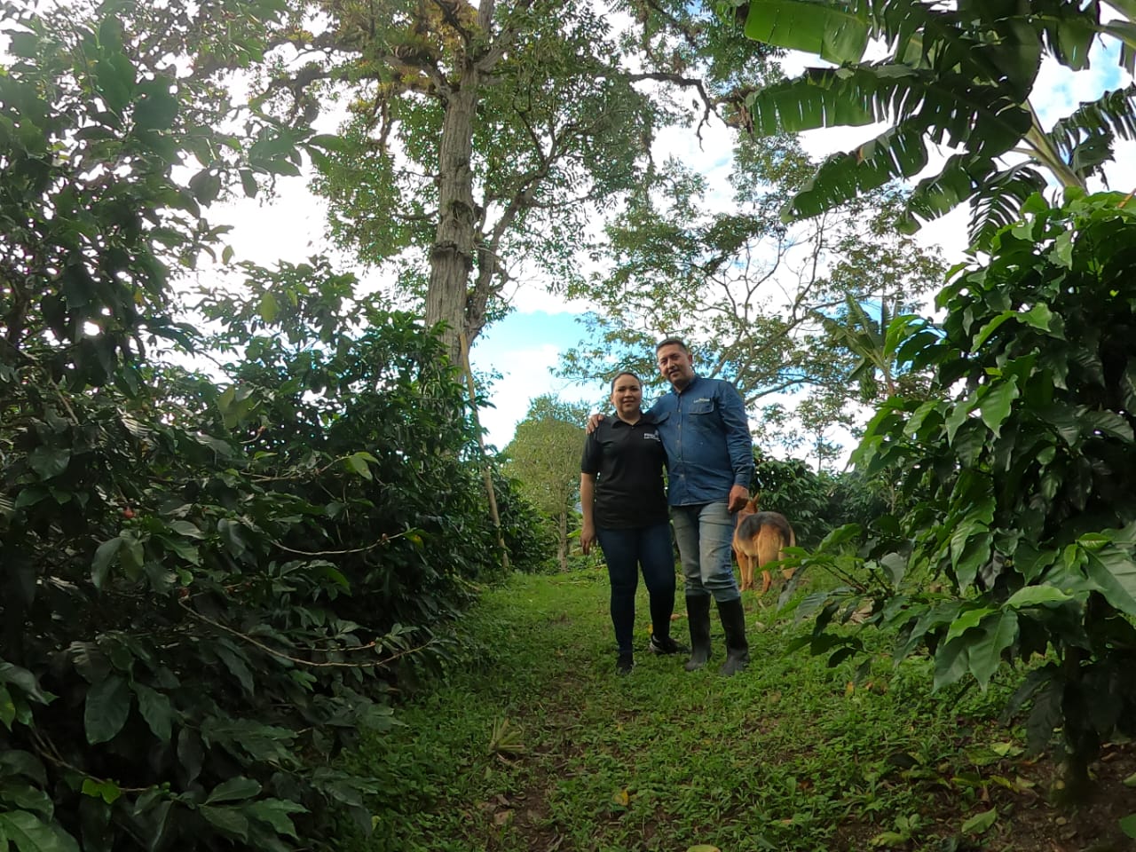 PINK BOURBON, Colombia - Image 3